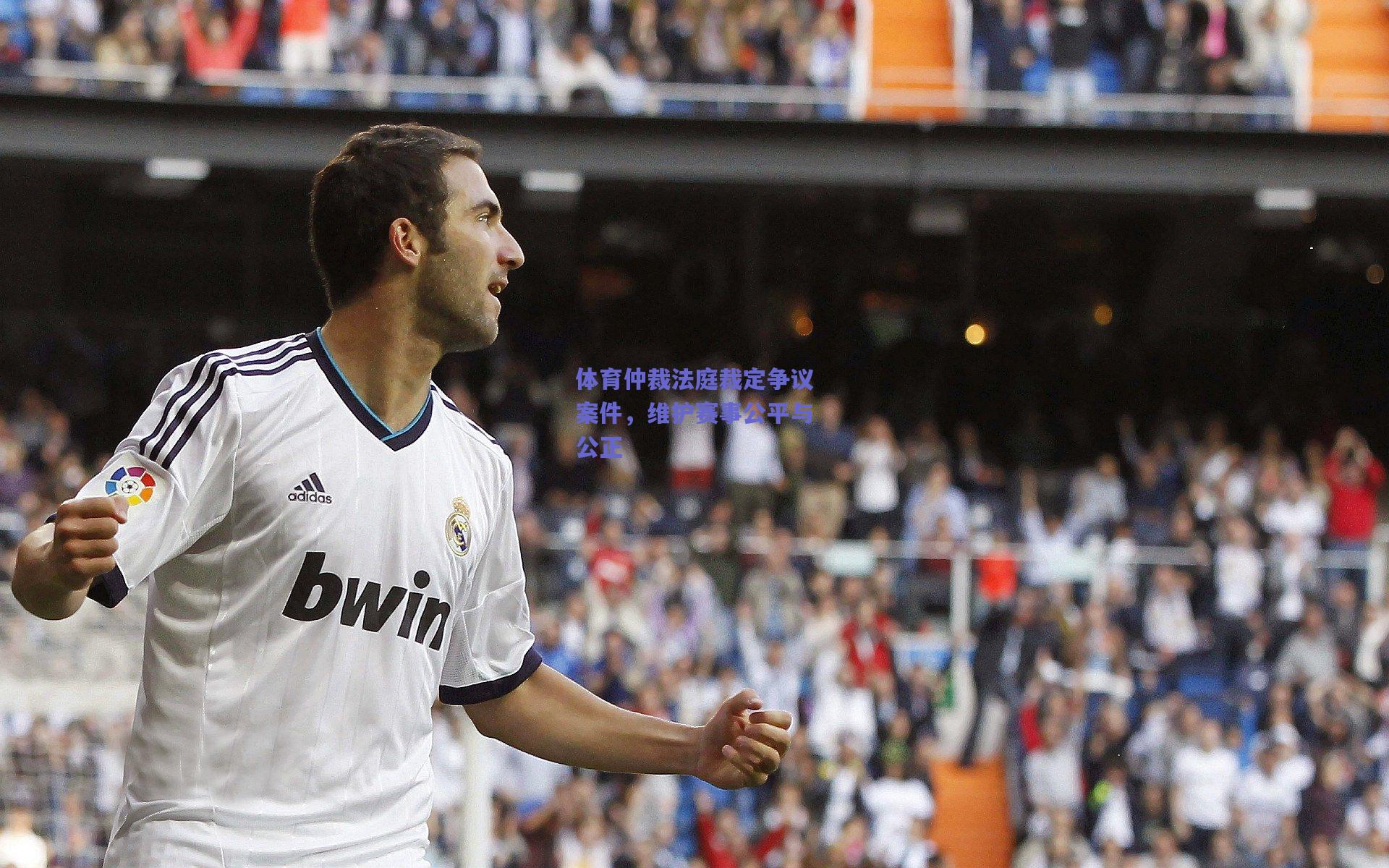 体育仲裁法庭裁定争议案件,维护赛事公平与公正