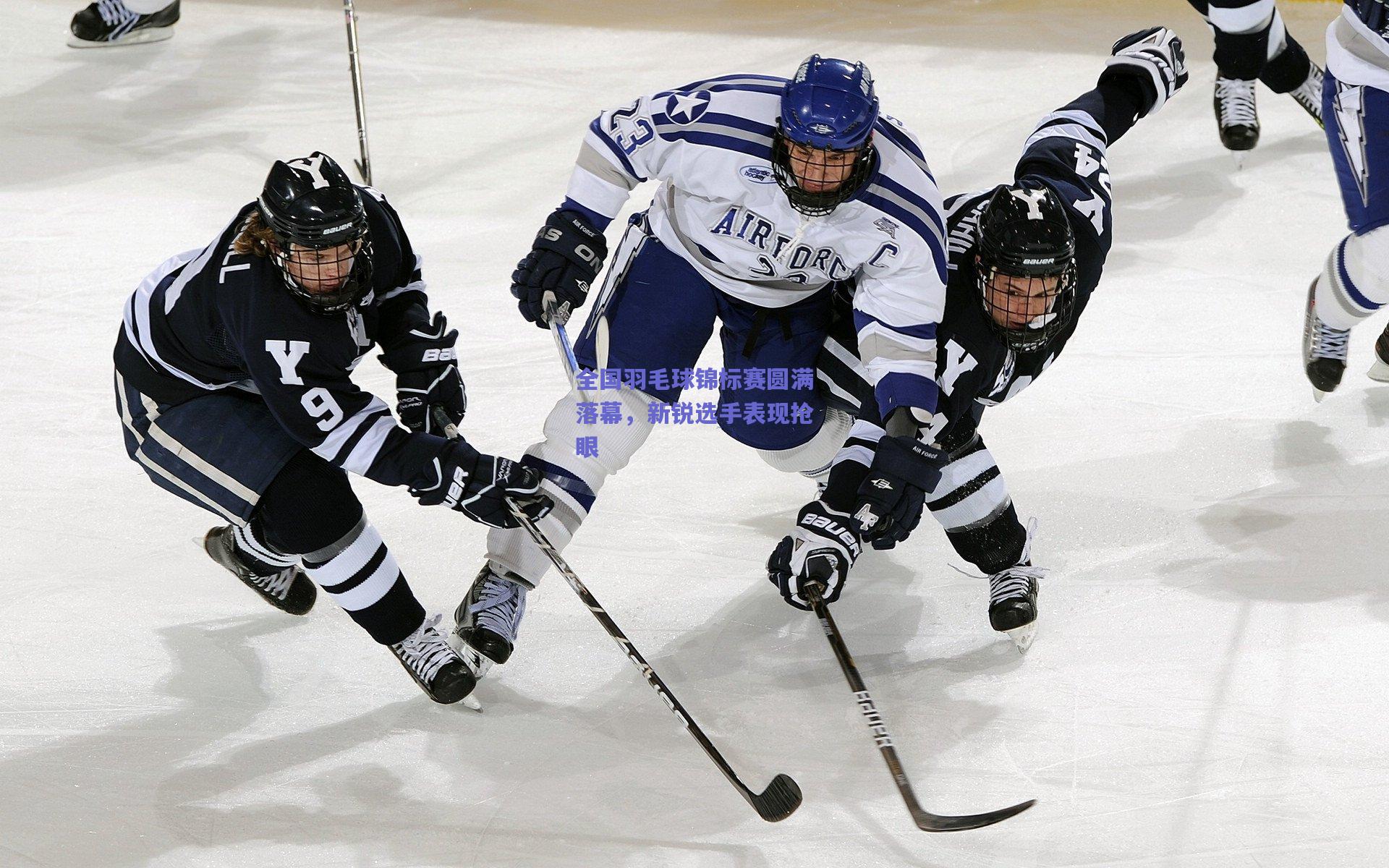 全国羽毛球锦标赛圆满落幕，新锐选手表现抢眼